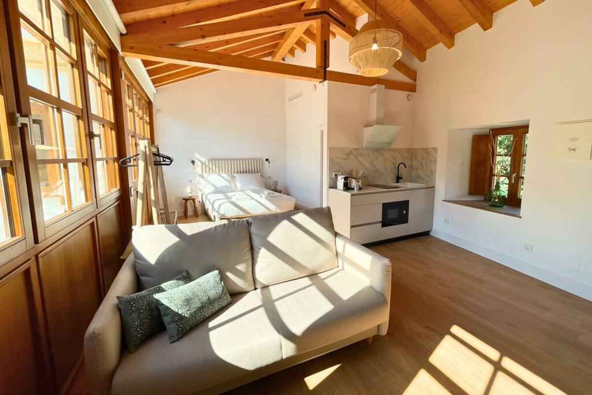 A spacious room with a wooden ceiling, a sofa with cushions, a bed, a kitchen area, and large windows allowing natural light.