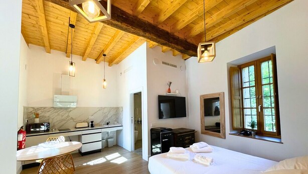 Una habitación de hotel moderna con techo de madera, una cama grande, televisor, pequeña cocina y ventana con vistas a la vegetación.