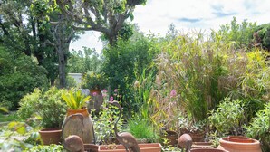 Un jardín con diversas plantas en macetas y un árbol grande.