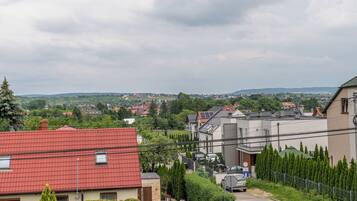 Ein Wohngebiet mit Häusern, einer Straße und einer entfernten Stadtansicht.