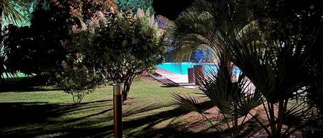 A nighttime garden with a pool, surrounded by various trees and plants.