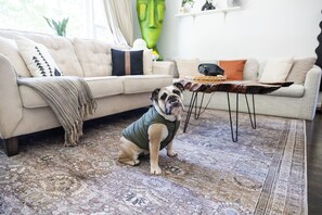 Smart TV - Haus Of Hues: MDRN Bright Peaceful Private Apt (Evanston)