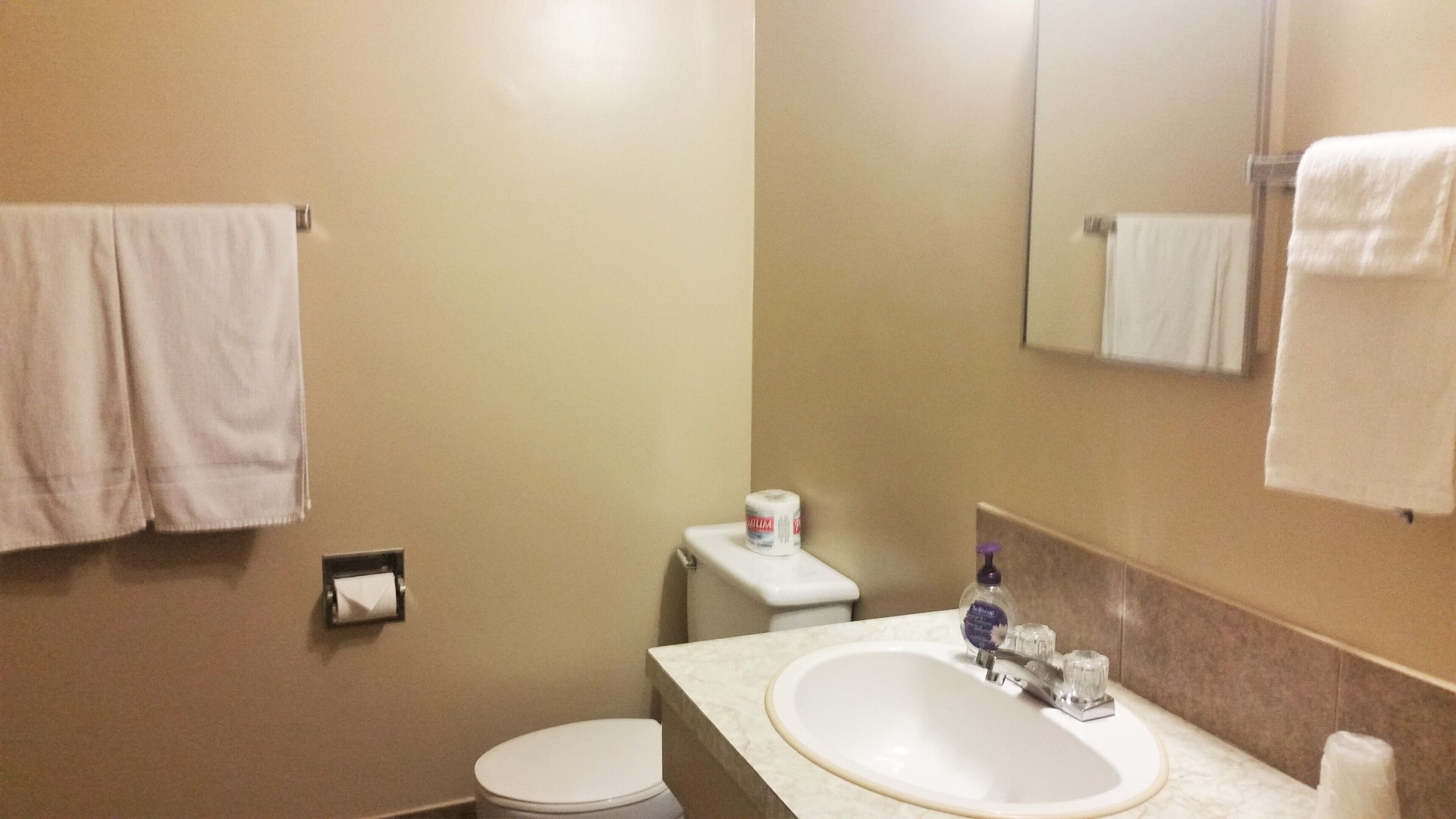 Une salle de bain avec des toilettes, un lavabo et un miroir. Une serviette est accrochée au mur et un rouleau de papier toilette est posé sur le comptoir.