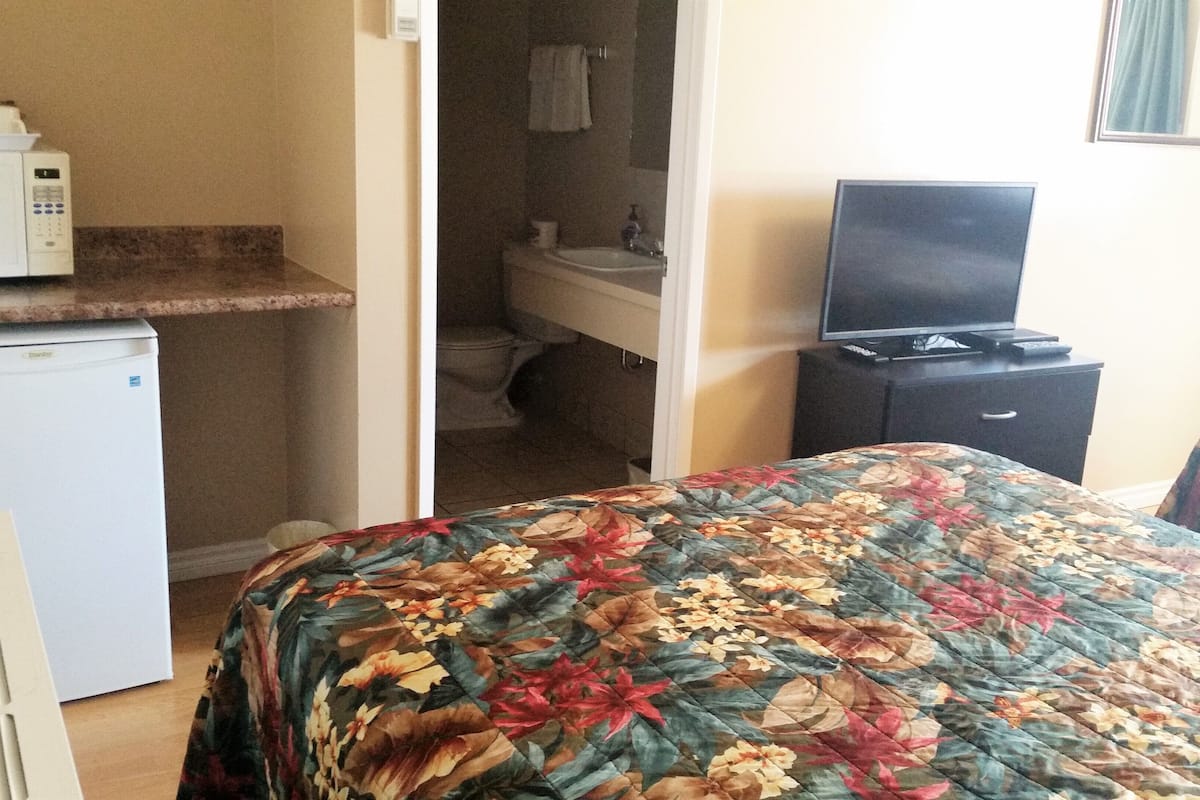 Una habitación de hotel con una cama, una kitchenette pequeña con microondas, un lavamanos y un televisor.