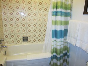 Bañera con ducha, artículos de tocador gratuitos, secador de pelo