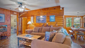 Smart TV, fireplace, DVD player, books