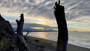 A beach with rocky terrain and two prominent dead trees. - Dungeness Bay Hideaway (Sequim)