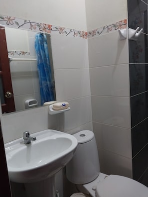 Bidet, towels, soap, toilet paper