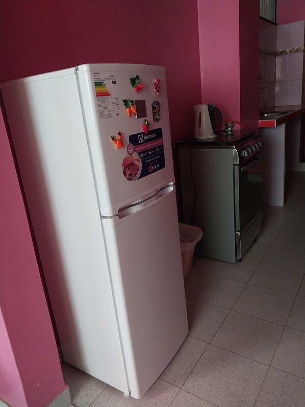 Fridge, oven, dishwasher, coffee/tea maker