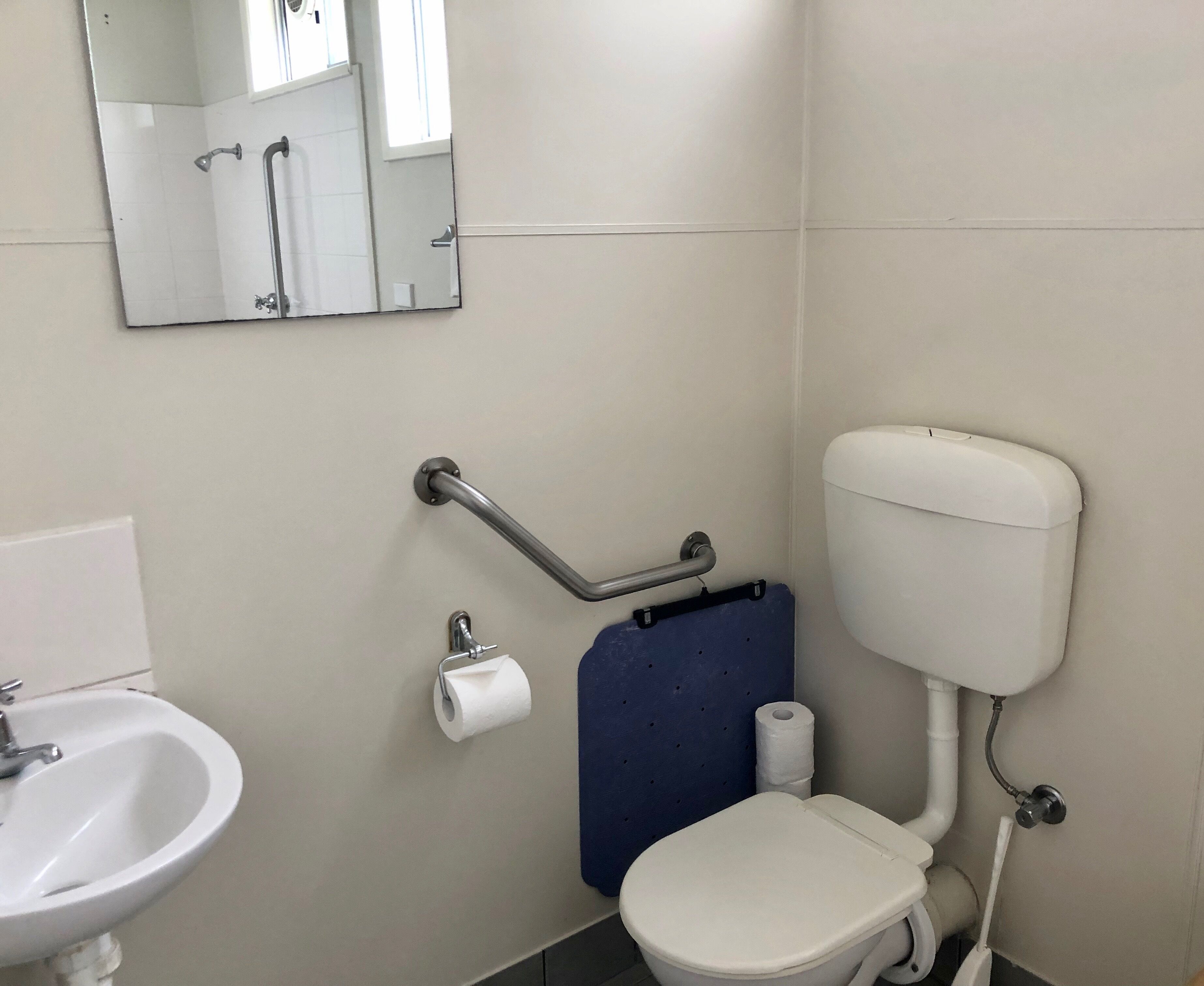 A bathroom with a white sink, a toilet with a blue backrest, and a handrail.