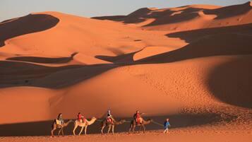 A desert landscape with sand dunes and camels.