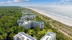A coastal hotel with multiple buildings, a beach, and a forested area. - 3402 Windsor @ Palmetto Dunes | Oceanfront | Steps to Beach | Pool | Stunning Views (Hilton Head Island)
