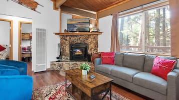 TV connectée, cheminée, lecteur de DVD