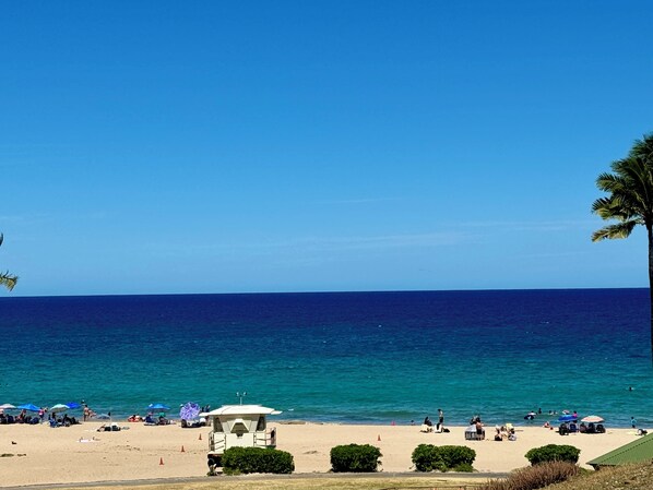 Beach - Hawaiian Family Paradise Retreat – Near Beach & Golf! (Waikoloa Village)