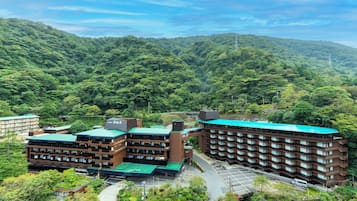 Ulkopuoli