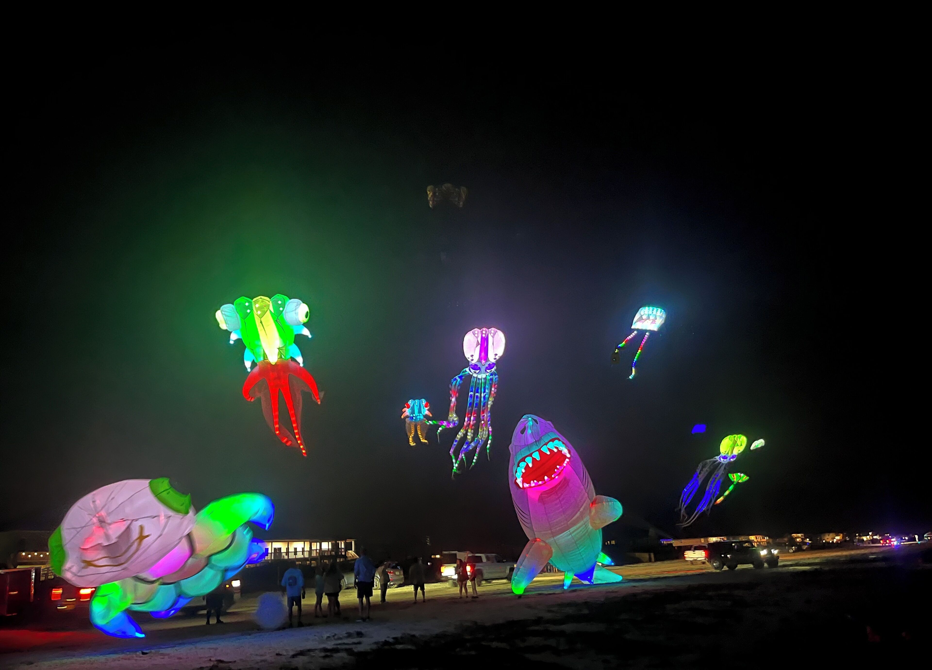 A nighttime outdoor event with illuminated kites shaped like sea creatures.