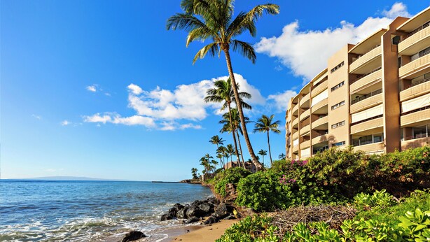 A beachfront hotel with multiple balconies, a palm tree, and a clear blue sky.