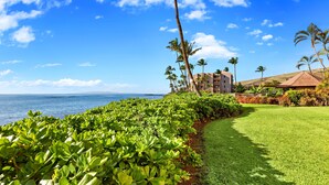 A beachfront hotel with a well-maintained lawn, palm trees, and a view of the ocean.