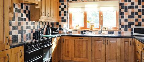 Fridge, oven, stovetop, toaster
