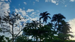 A landscape with trees and a clear sky. - Quarto Para Grupo até 4 Pessoas Praia da Maranduba Ubatuba Sp (Sertão da Quina Ubatuba)