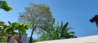 Quarto Para Grupo até 4 Pessoas Praia da Maranduba Ubatuba Sp