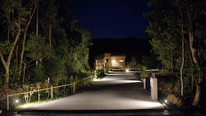 Un chemin menant à un bâtiment entouré d  ’arbres, de nuit.