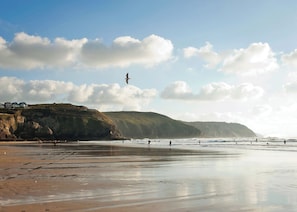 A beach with a cliff, waves, and a bird in the sky.