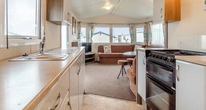 Castaways Oyster 10 (Pet)