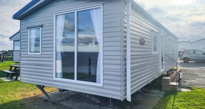 Castaways Oyster 6 (Pet)