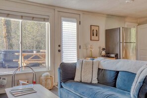 Télévision, cheminée, livres, espaces bureaux