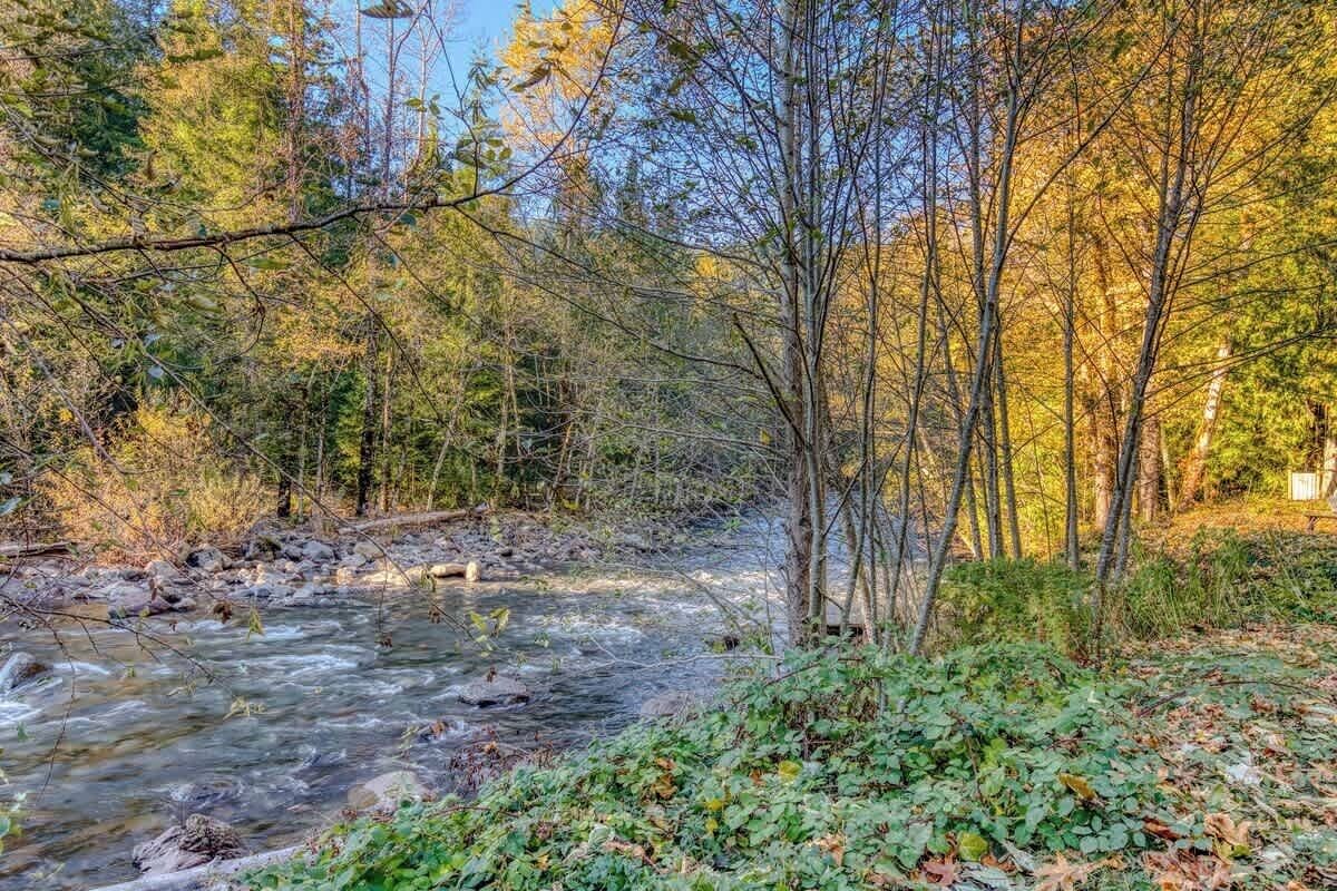 A river flowing through a forest with trees and rocks.