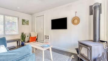 Télévision, cheminée, livres, espaces bureaux