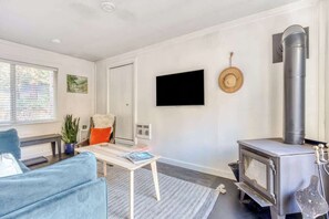 Télévision, cheminée, livres, espaces bureaux