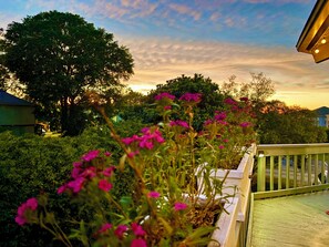 Property grounds - The Hut at the beach  (Myrtle Beach)