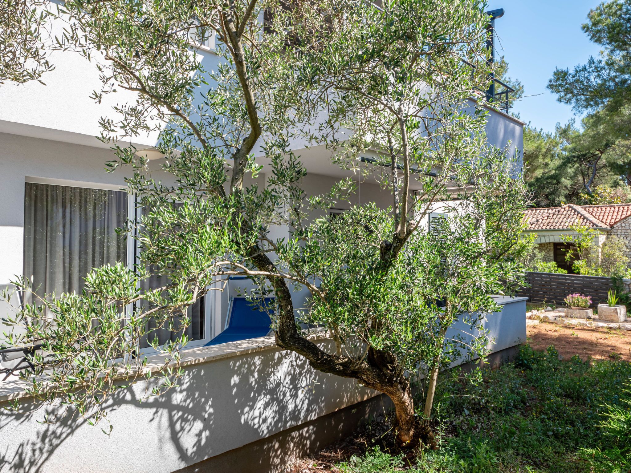 A white building with a tree in front.