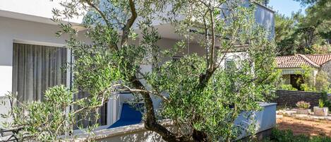 A white building with a tree in front.
