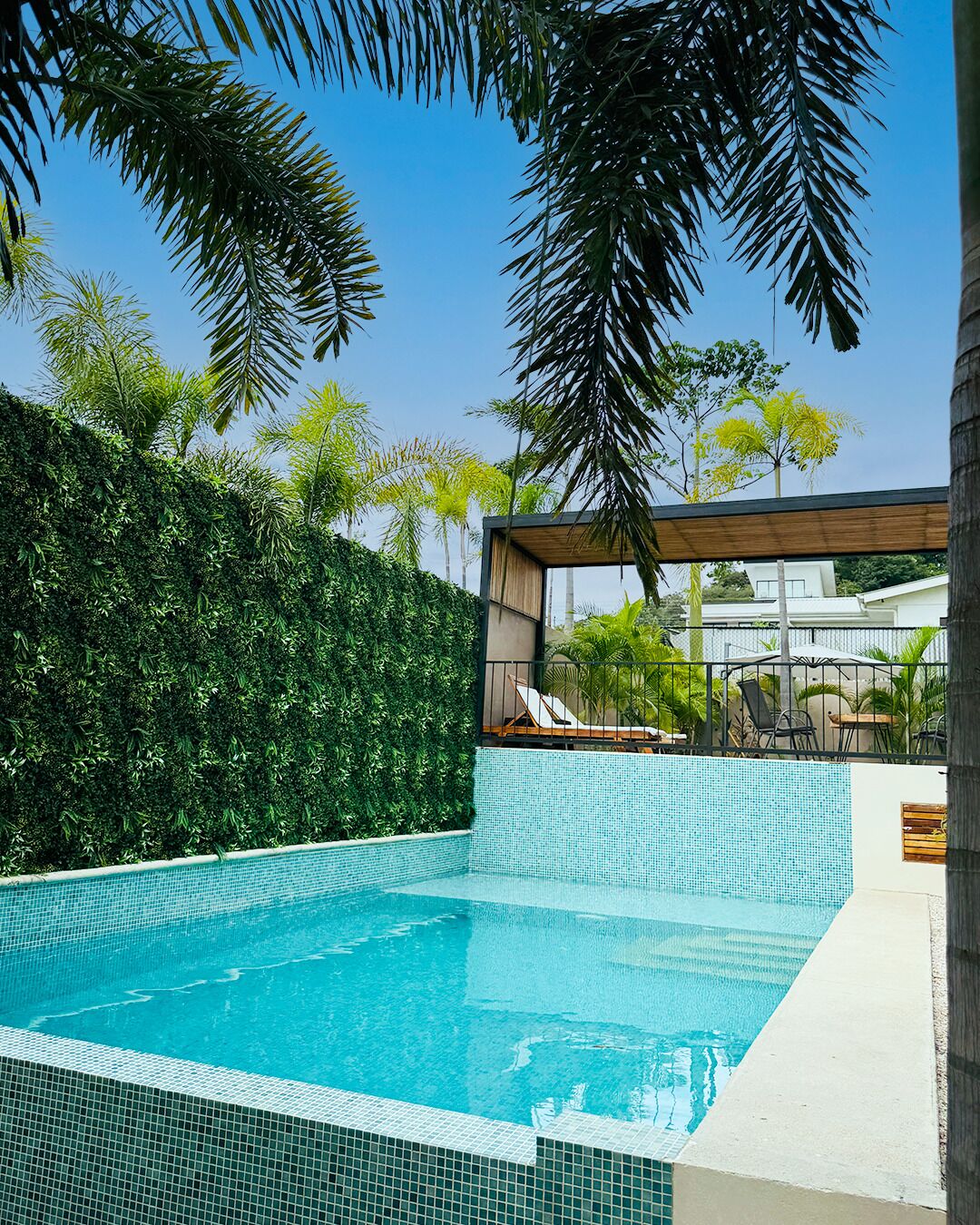 A swimming pool with tiled edges, surrounded by a hedge and palm trees.
