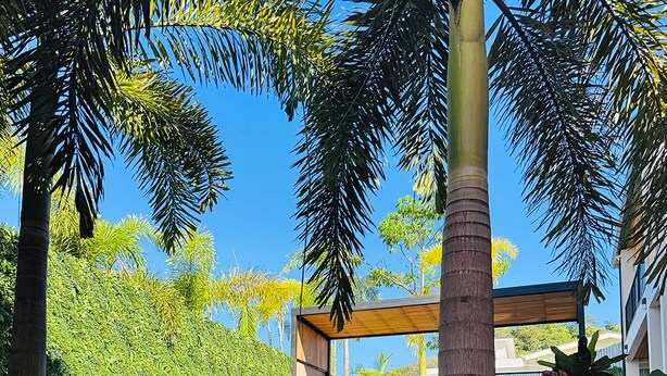 Una piscina con borde de azulejos, rodeada de palmeras y un jardín ajardinado.