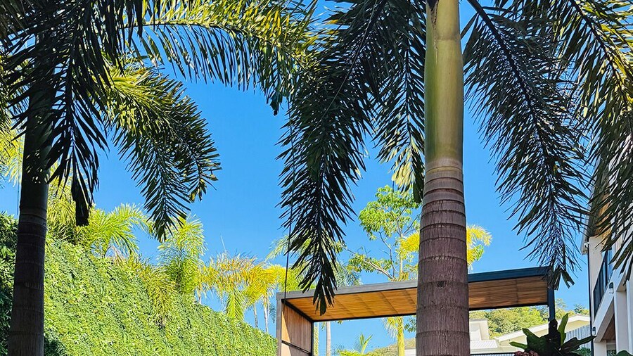 Muna Tamarindo