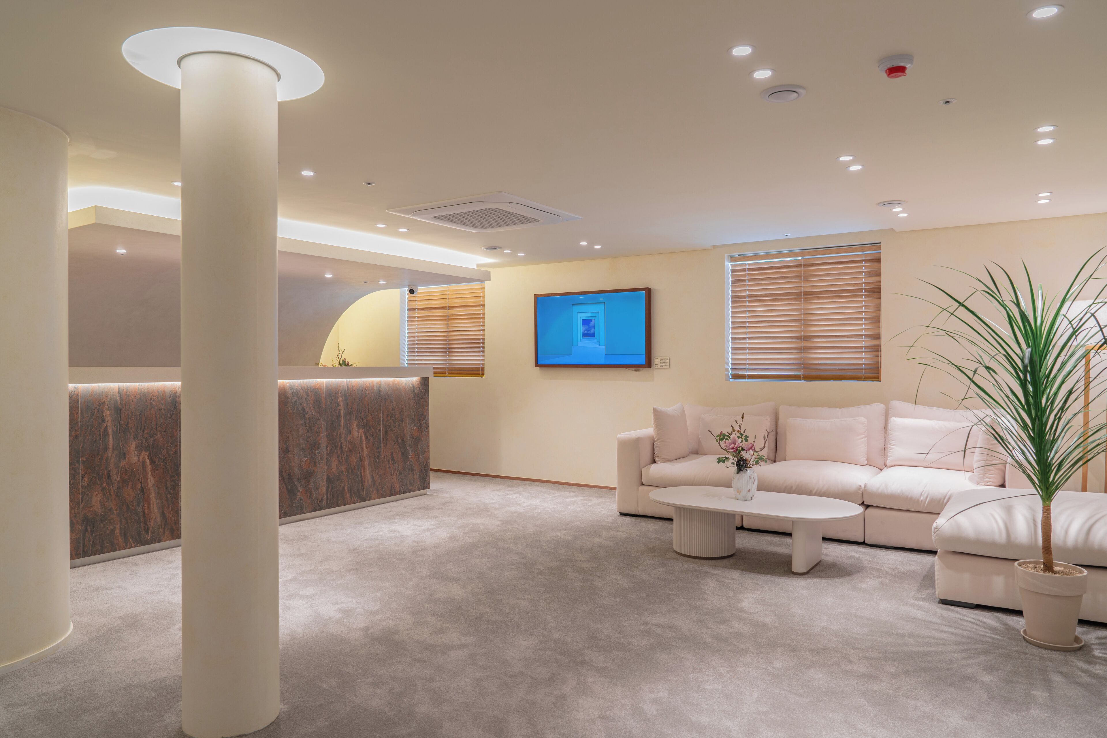 Una zona de recepción moderna con mostrador de recepción, un sofá color beige, una mesa de centro y una planta en maceta.