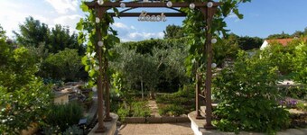 Apartments Villa Olea