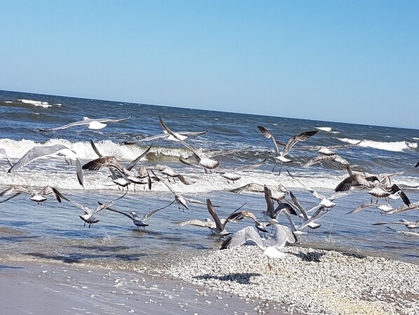 In Strandnähe