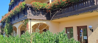 Studio 'Pension Bergblick - Nonnefelsen' avec vue sur la montagne, balcon et Wi-Fi