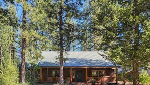 A log cabin with a metal roof, surrounded by tall pine trees. - Woodland Retreat: Cozy Cabin Near Trails & Mazama (Winthrop)