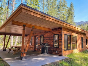 Een chalet met een overdekt terras, een barbecue en een picknicktafel.