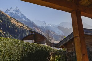Property grounds - Barrats Vert - Mazot | Hypercentre 1km | Nature | Views | Quiet (Chamonix-Mont-Blanc)