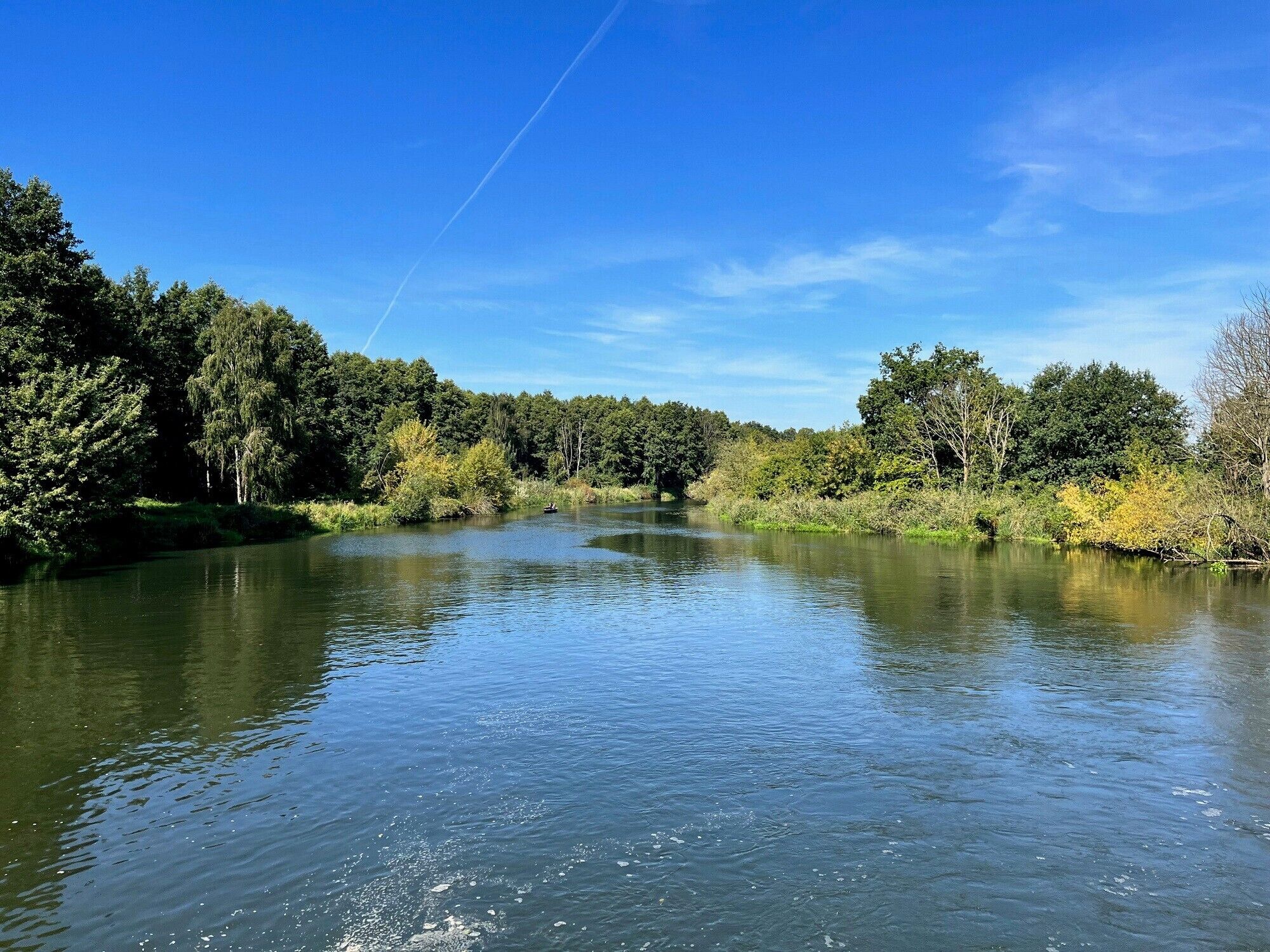 A calm river with dense forest on both sides.