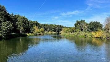 A calm river with dense forest on both sides.