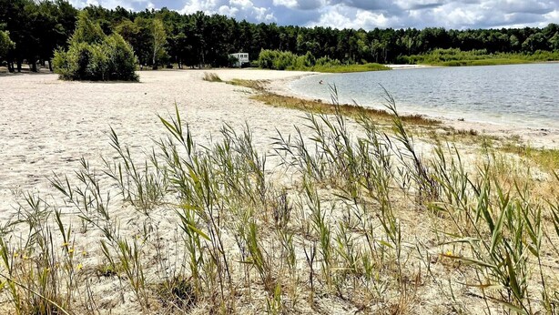 Une plage de sable avec un lac, des arbres et une petite construction en arrière-plan.