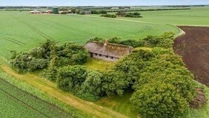 Un paysage rural avec une maison à toit de chaume, entourée d’une végétation luxuriante et de champs.